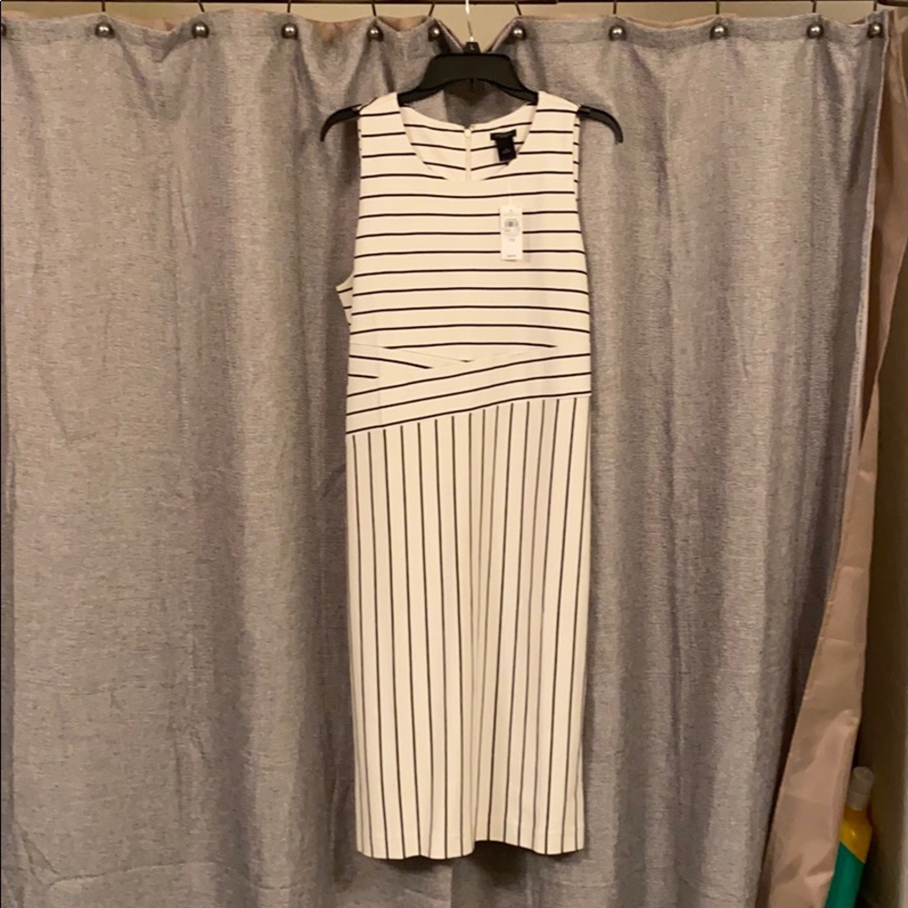 NWT Ann Taylor Factory Heavy Knit Dress